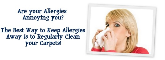 Carpet Cleaning West Long Branch, NJ