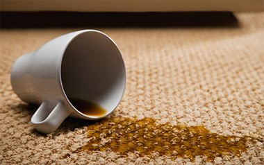 Carpet Cleaning West Long Branch,  NJ