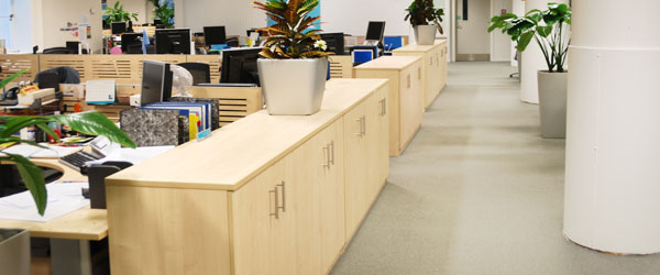 Commercial Carpet Cleaning West Long Branch, NJ