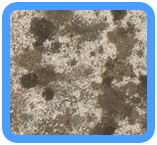 West Long Branch,  NJ Water Damage Restoration